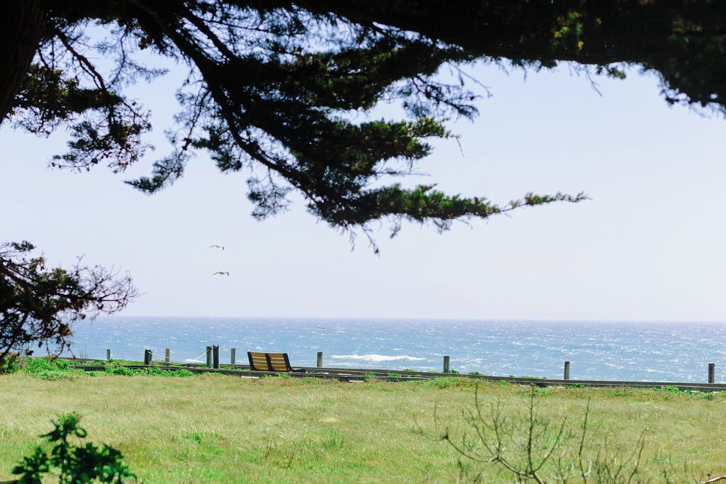 Photo of Others in San Simeon