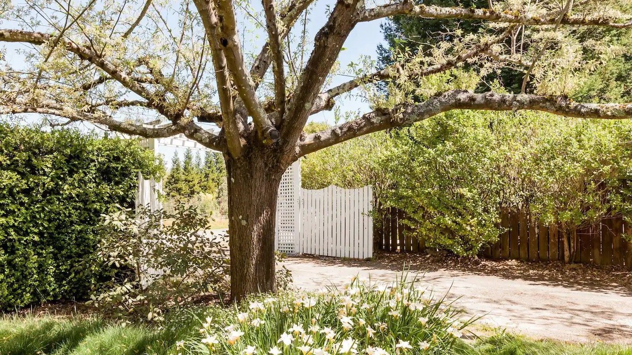 Photo of Outdoor in Graton