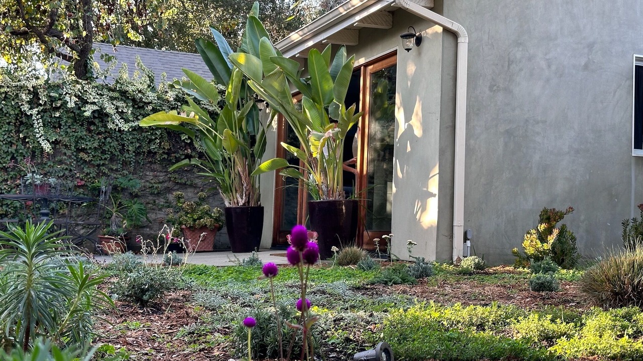 Photo of Outdoor in Pasadena