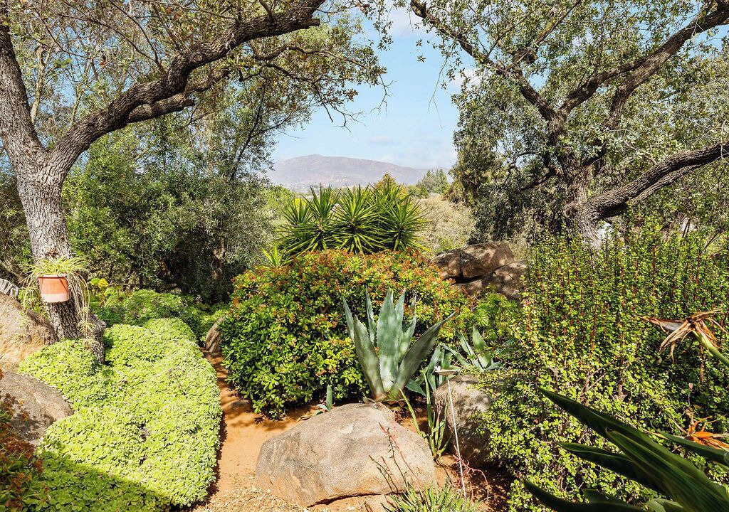 Photo of Outdoor in Alpine