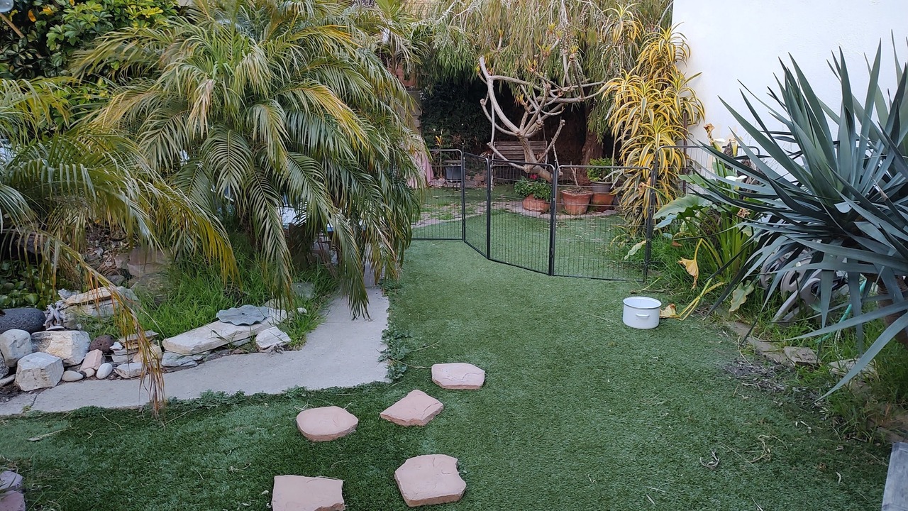Photo of Outdoor in San Pedro