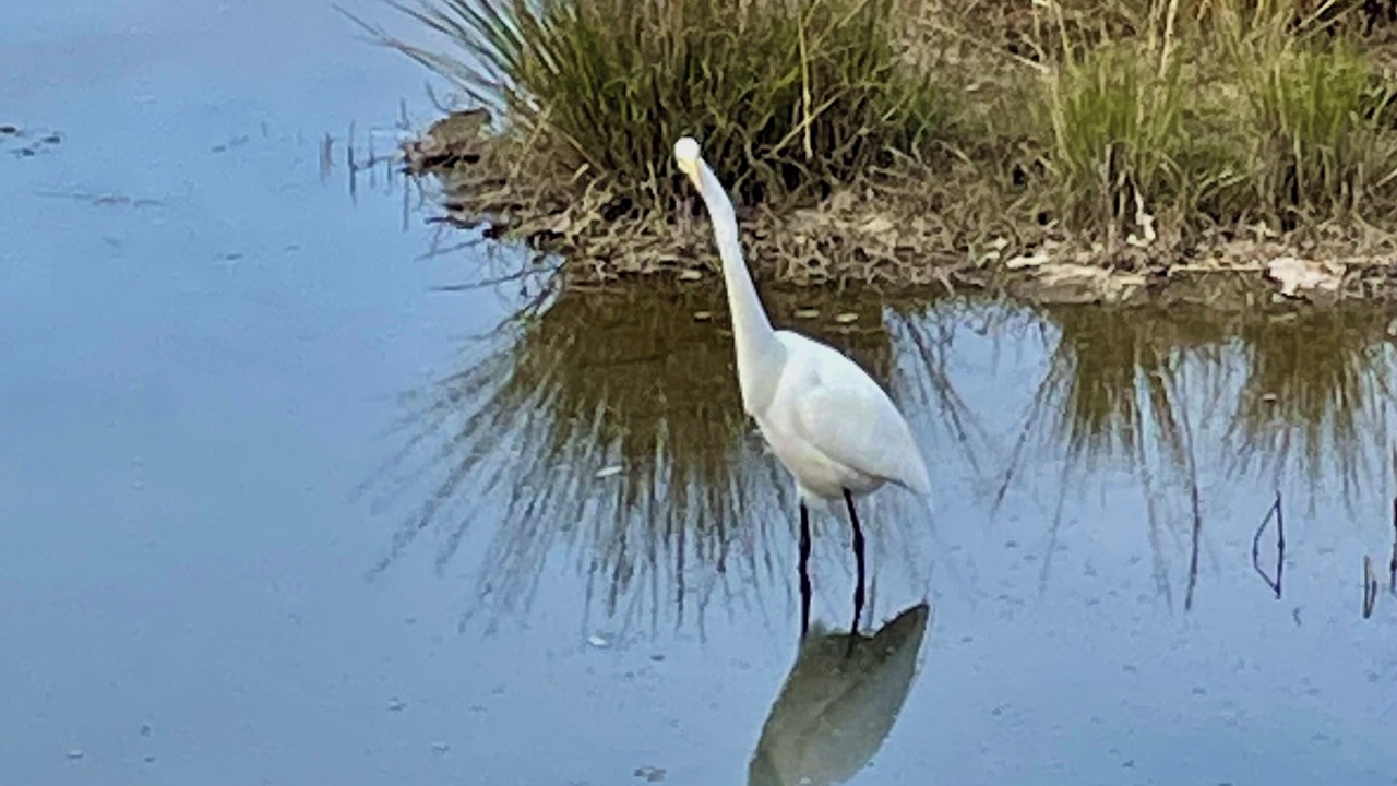 Photo of Others in Bay Area