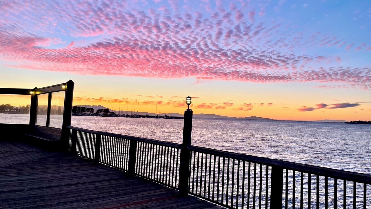 Photo of Patio Balcony in Bay Area