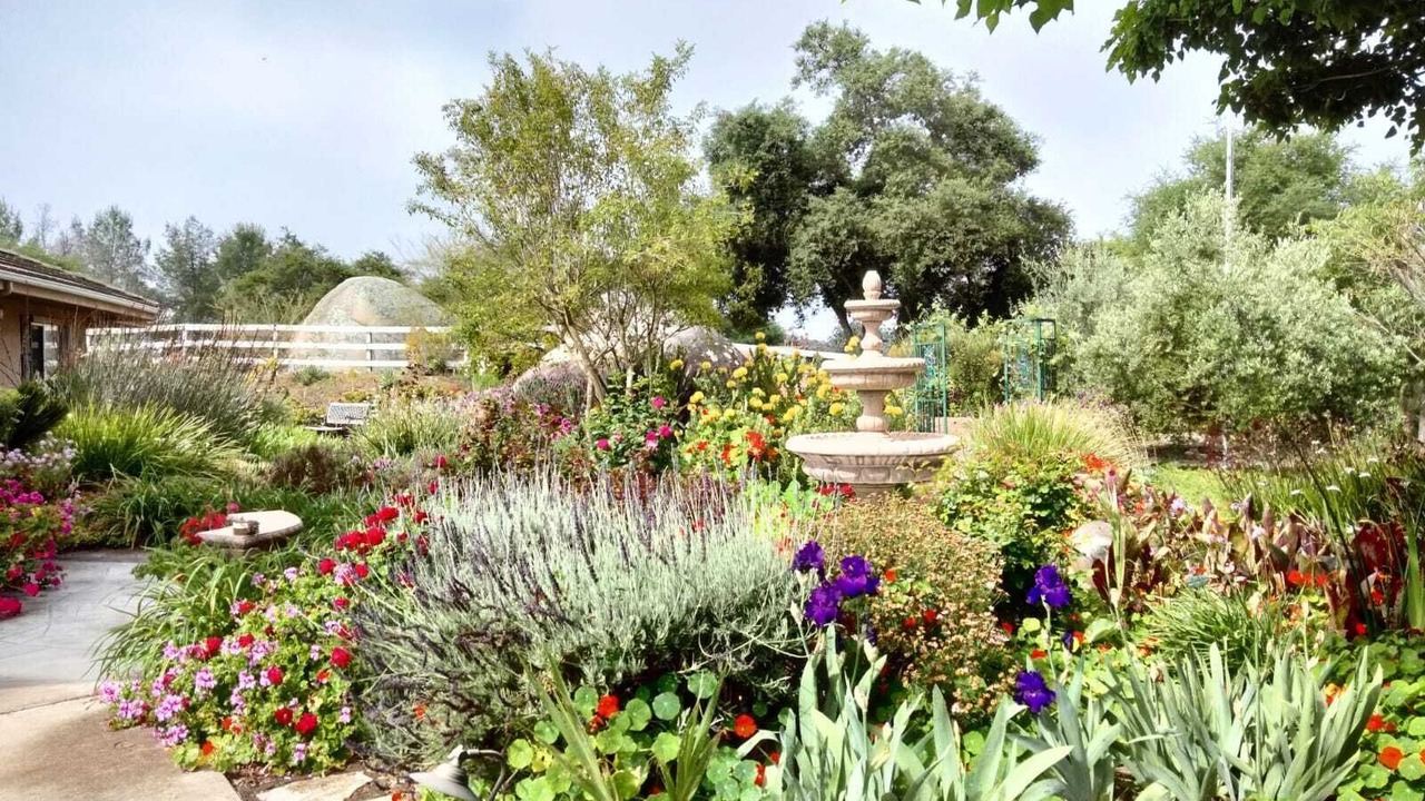 Photo of Outdoor in North Ridge