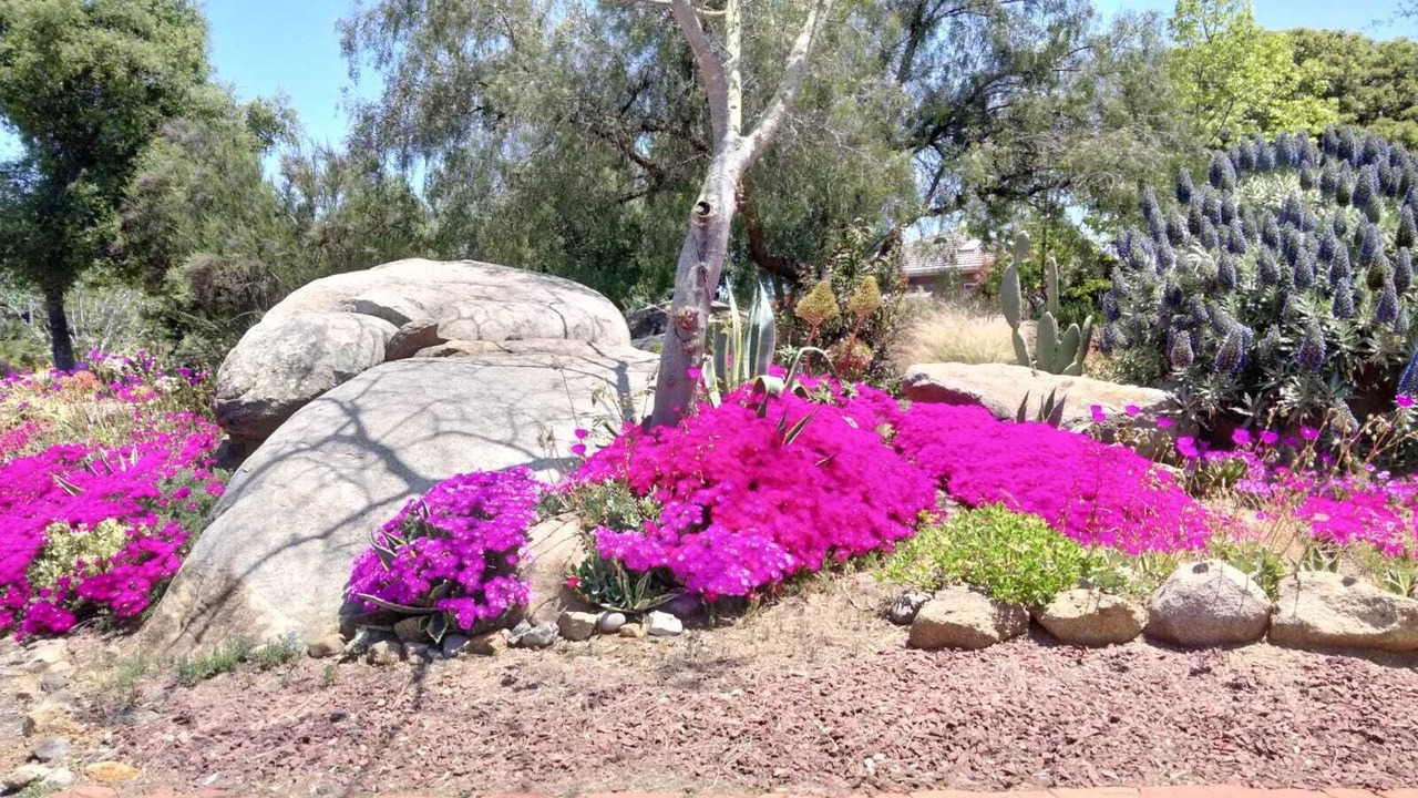 Photo of Outdoor in North Ridge