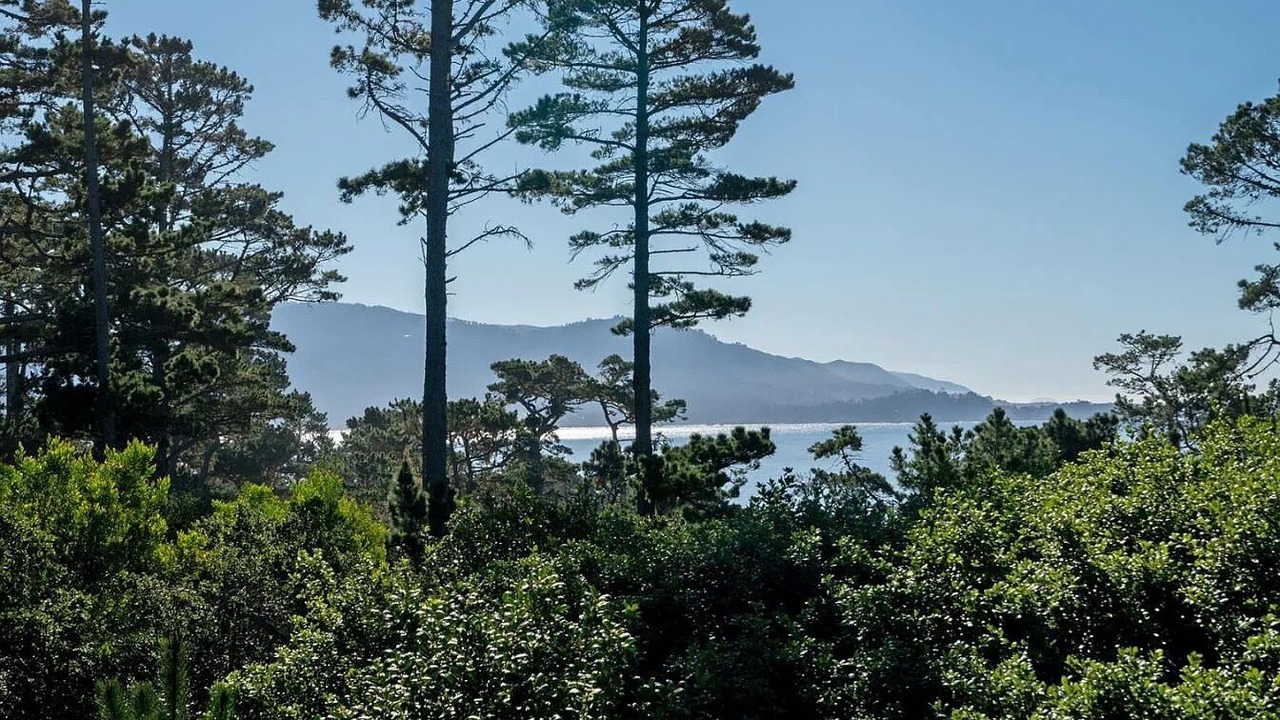 Photo of Others in Pebble Beach