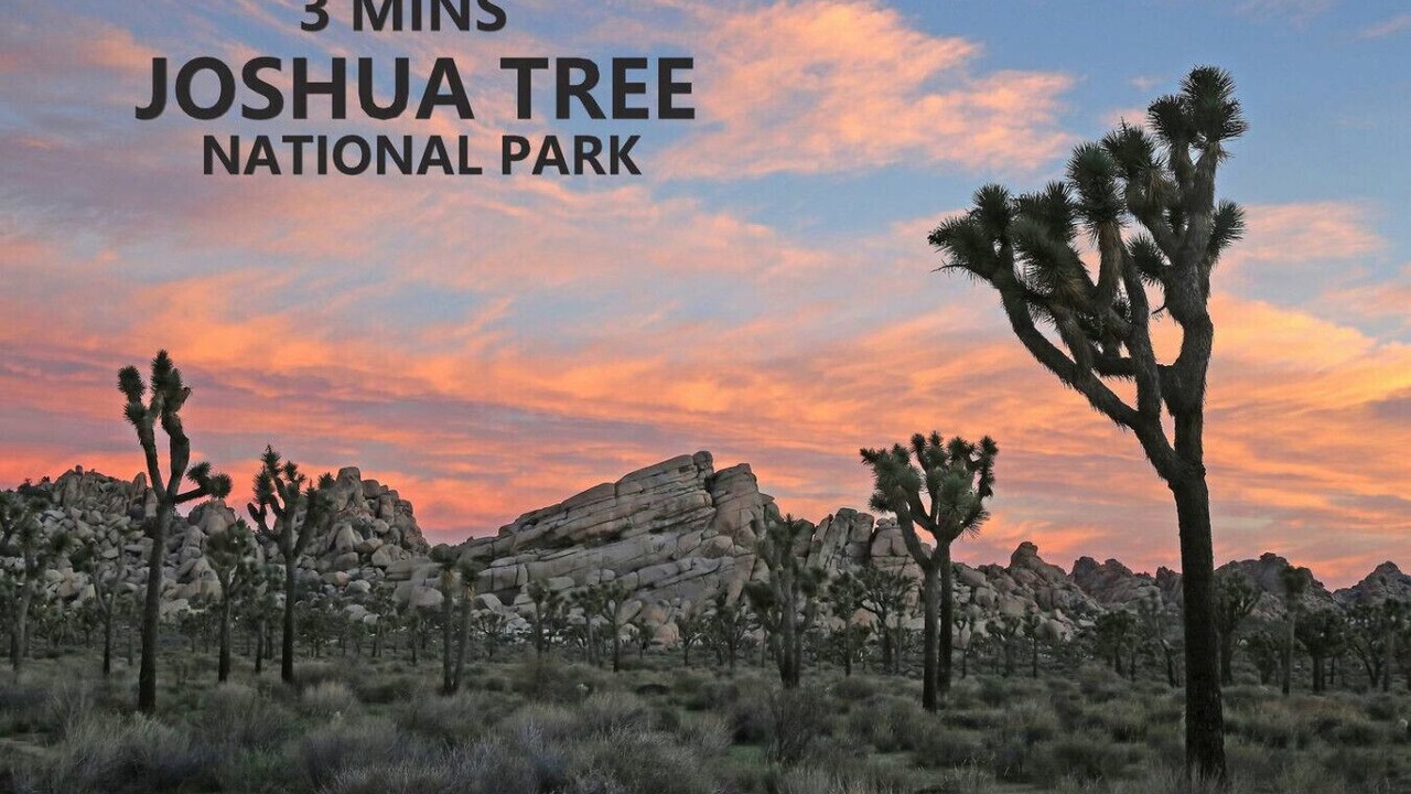Photo of Others in Twentynine Palms
