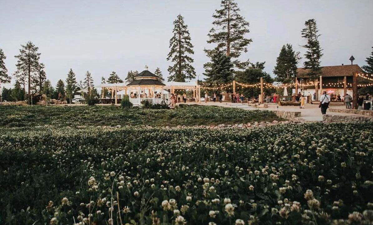 Photo of Others in Big Bear