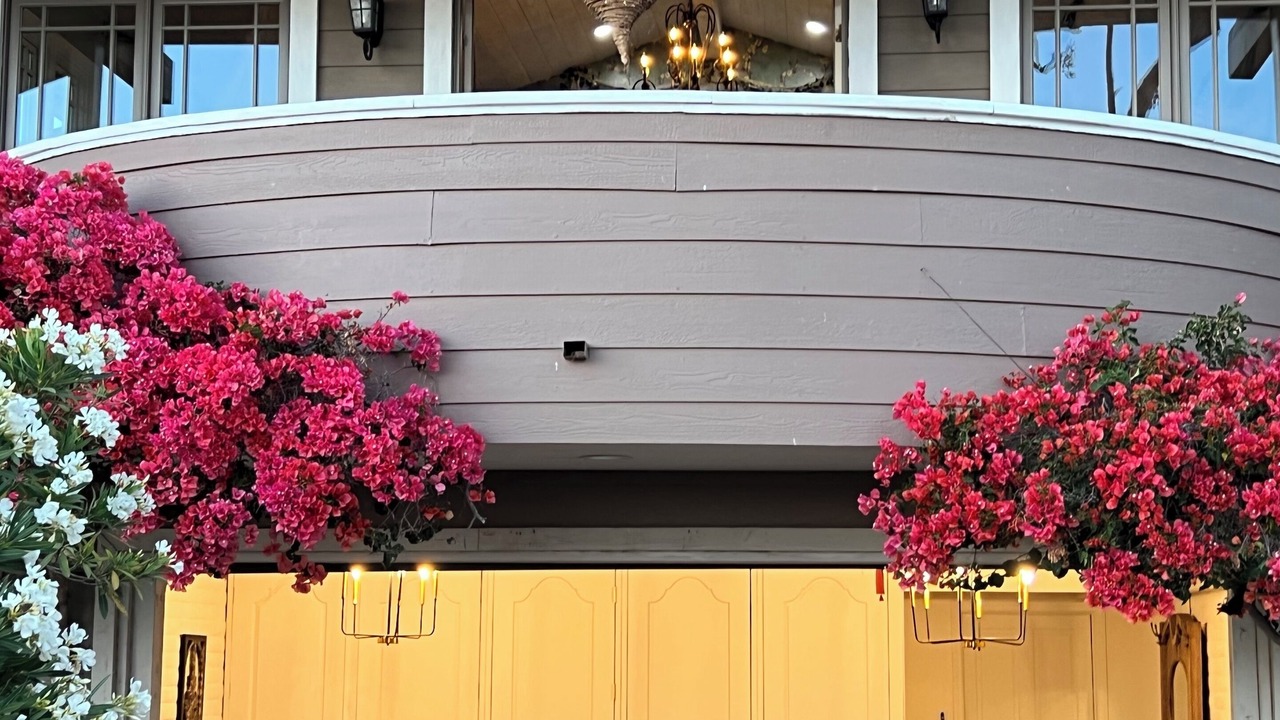 Photo of Outdoor in Escondido