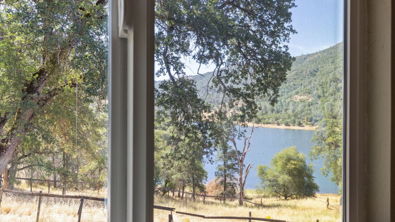Photo of Outdoor in Groveland