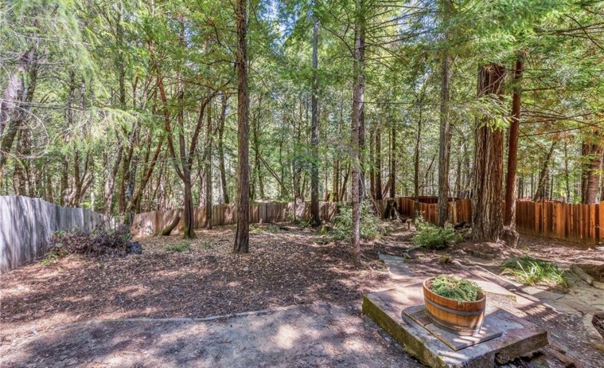 Photo of Outdoor in Willits