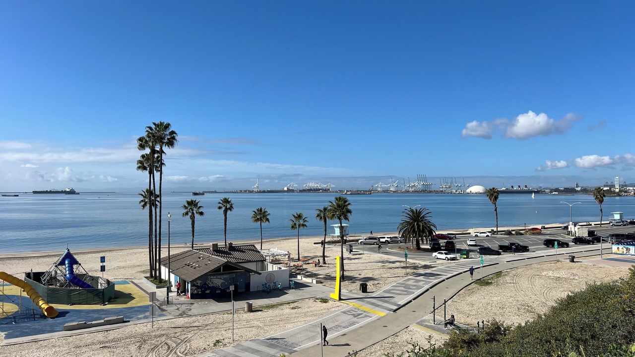 Photo of Others in Alamitos Beach