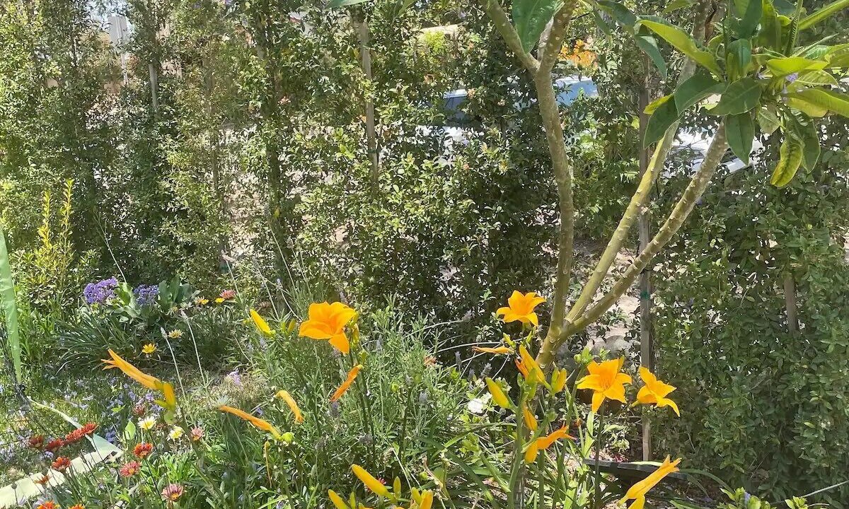 Photo of Outdoor in North Central