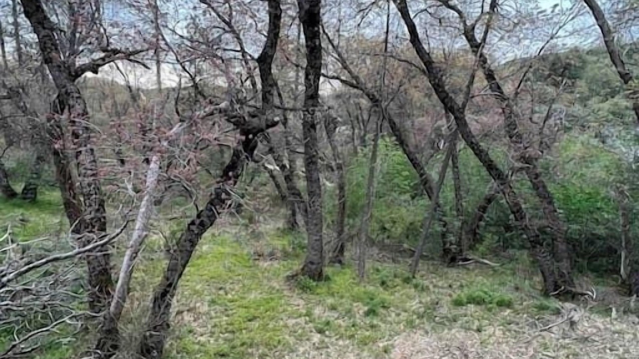 Photo of Outdoor in Dunlap