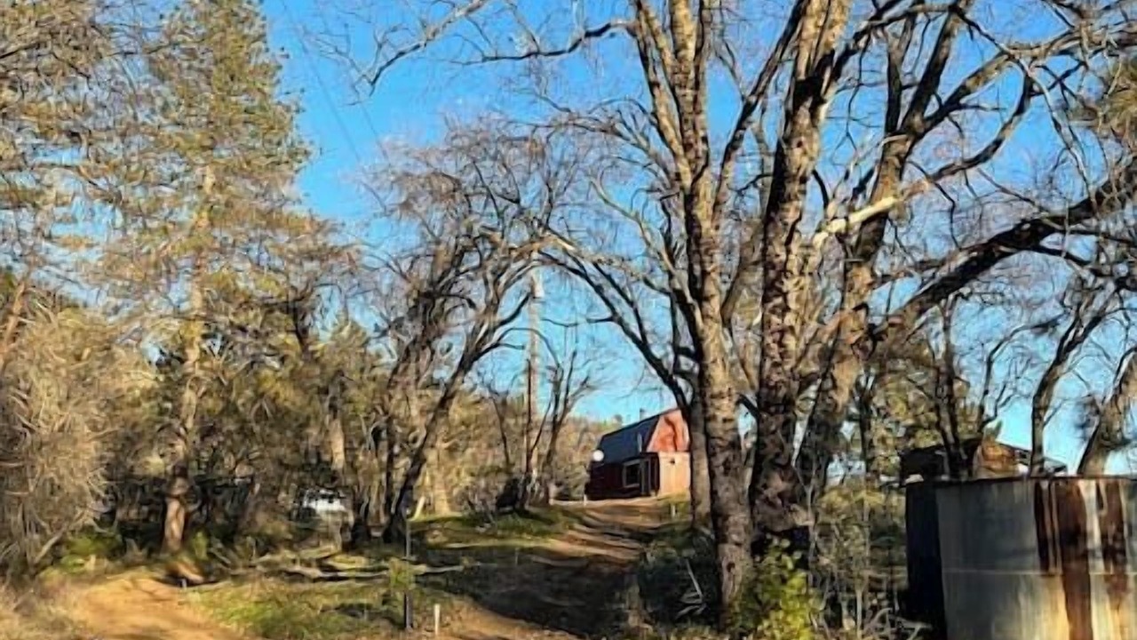 Photo of Others in Dunlap