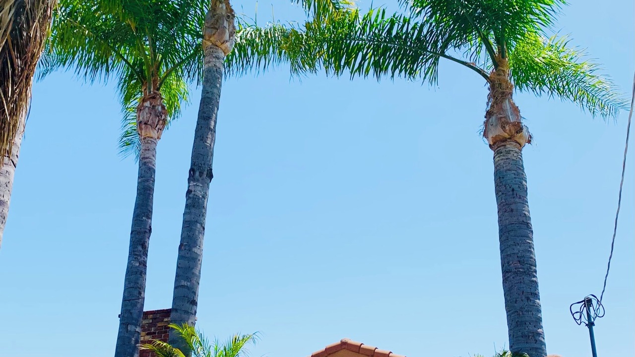 Photo of Outdoor in Northwest San Pedro