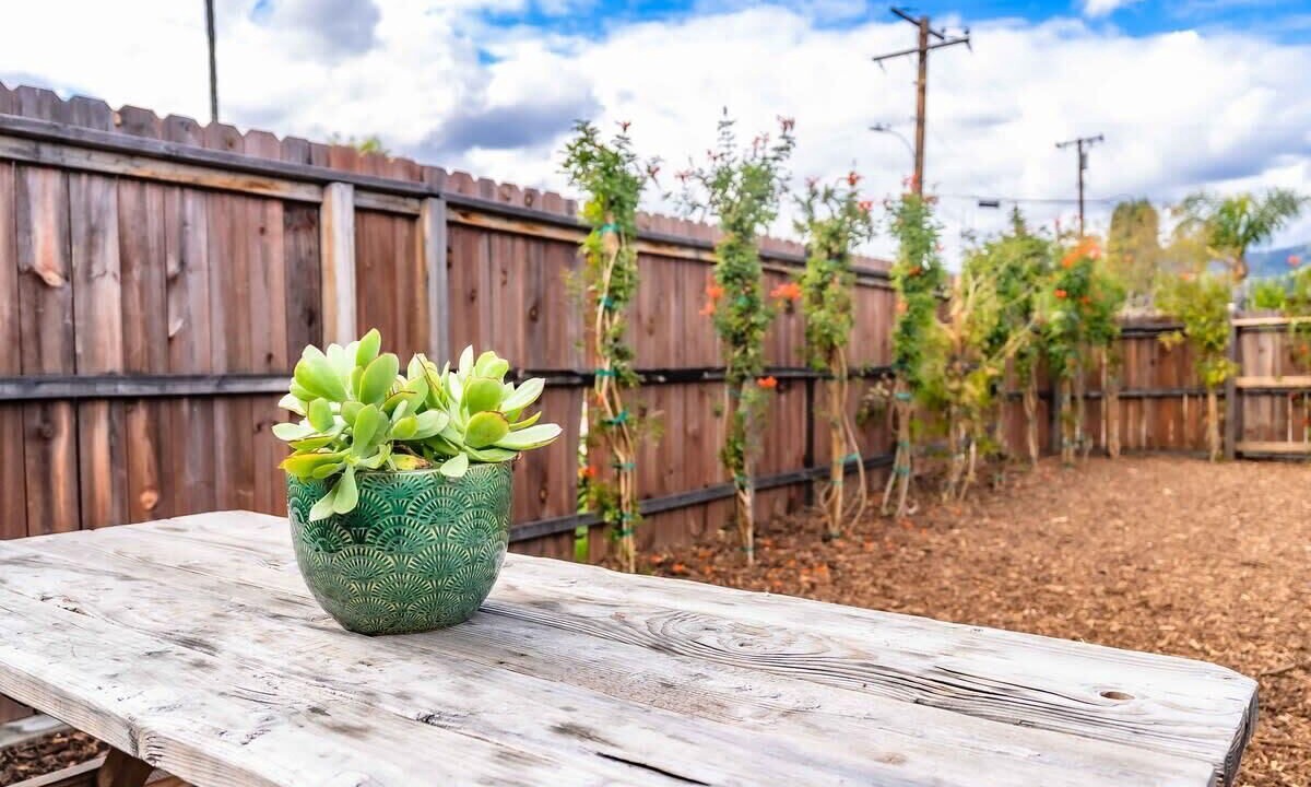 Photo of Outdoor in Bonita