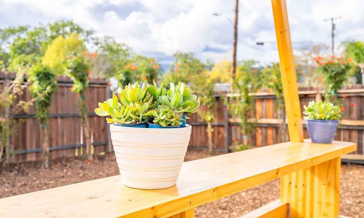 Photo of Outdoor in Bonita