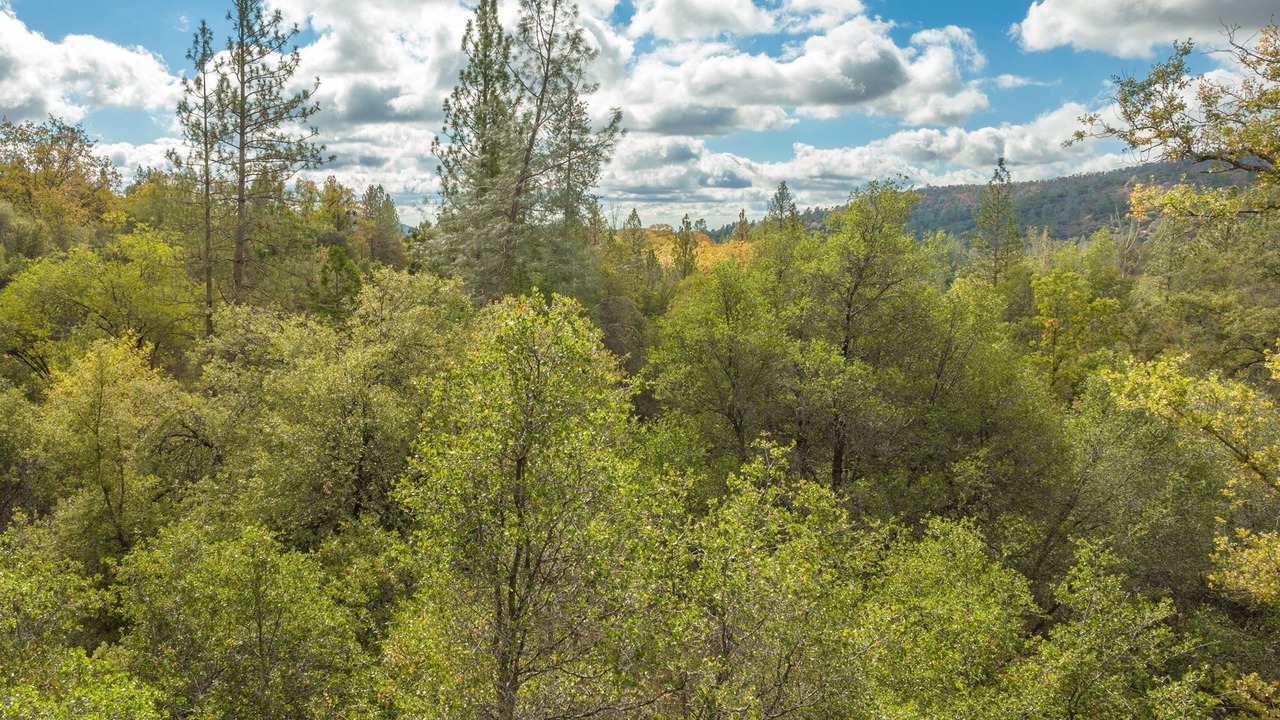 Photo of Outdoor in Wishon