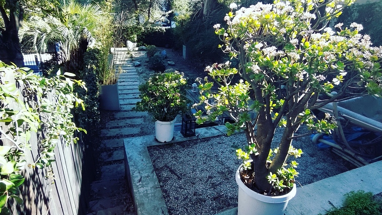 Photo of Outdoor in Laurel Canyon