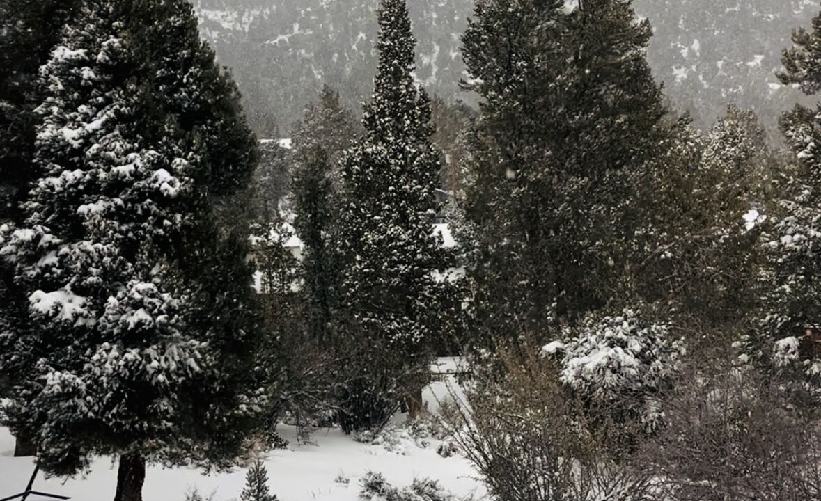 Photo of Outdoor in Whispering Forest
