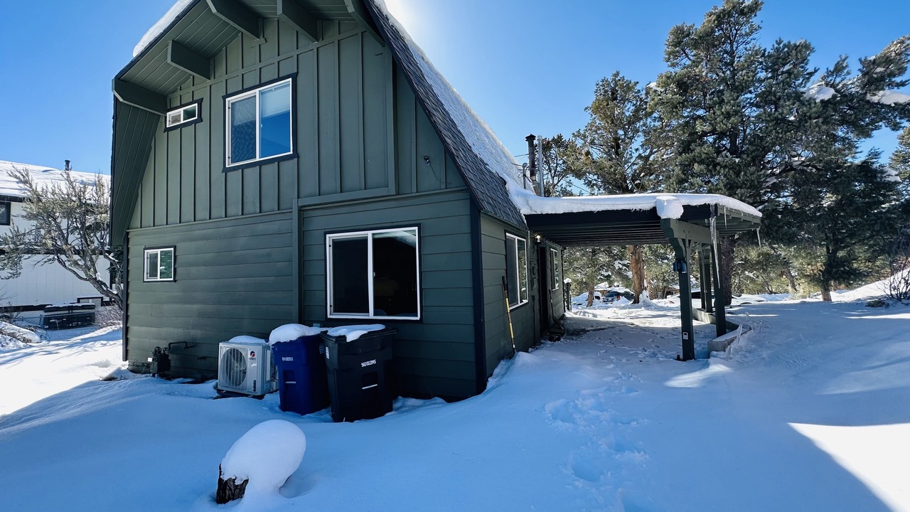 Photo of Outdoor in Whispering Forest
