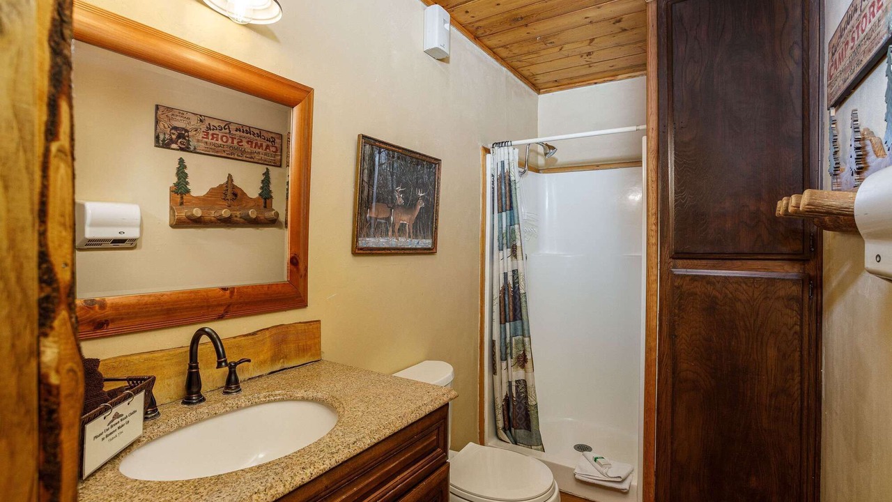 Photo of Bathroom in Twin Peaks
