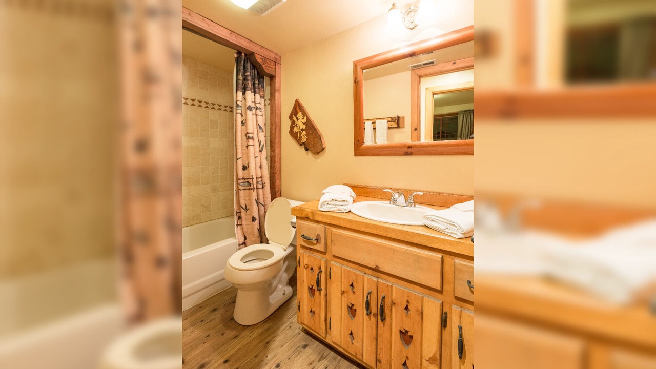 Photo of Bathroom in Twin Peaks