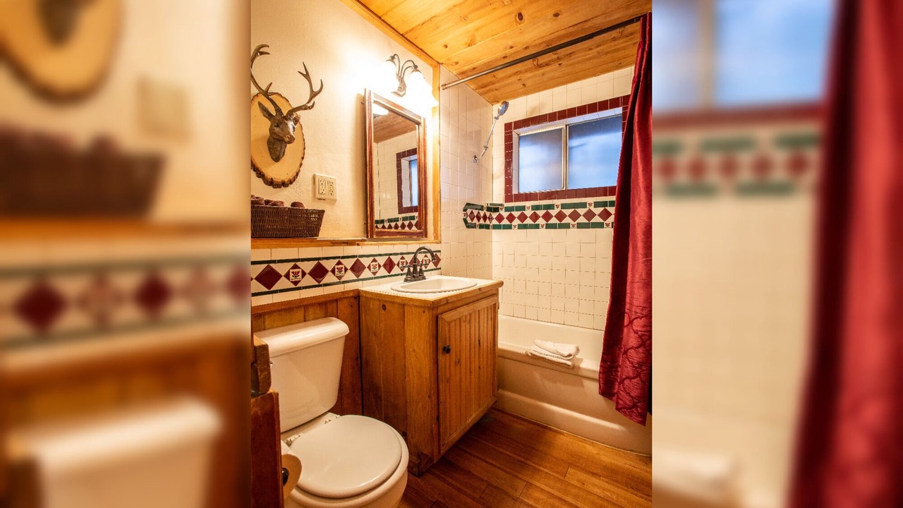 Photo of Bathroom in Twin Peaks
