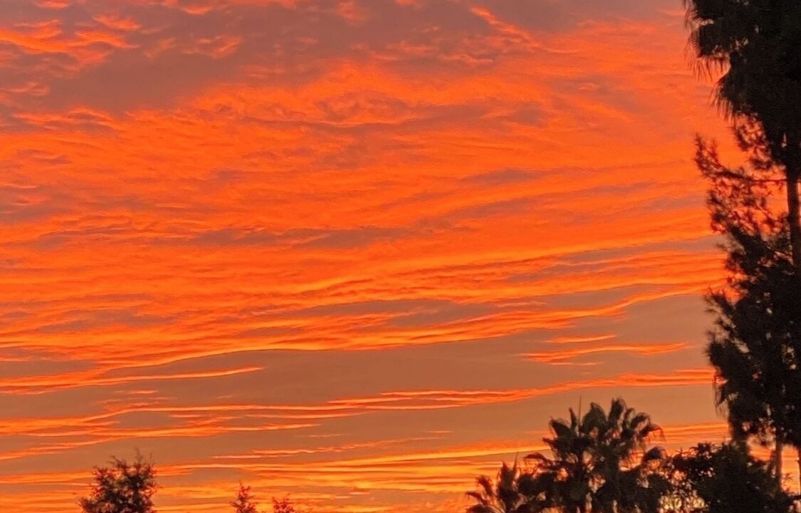 Photo of Others in Pasadena