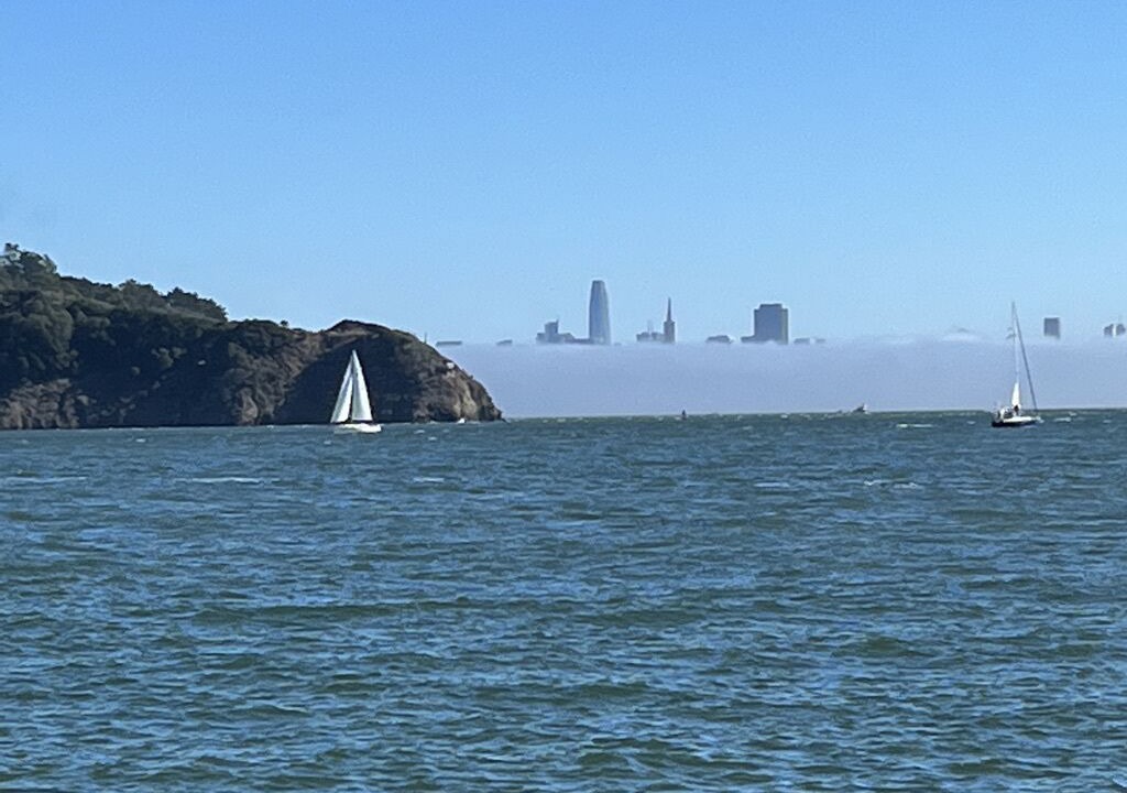 Photo of Others in Belvedere Tiburon