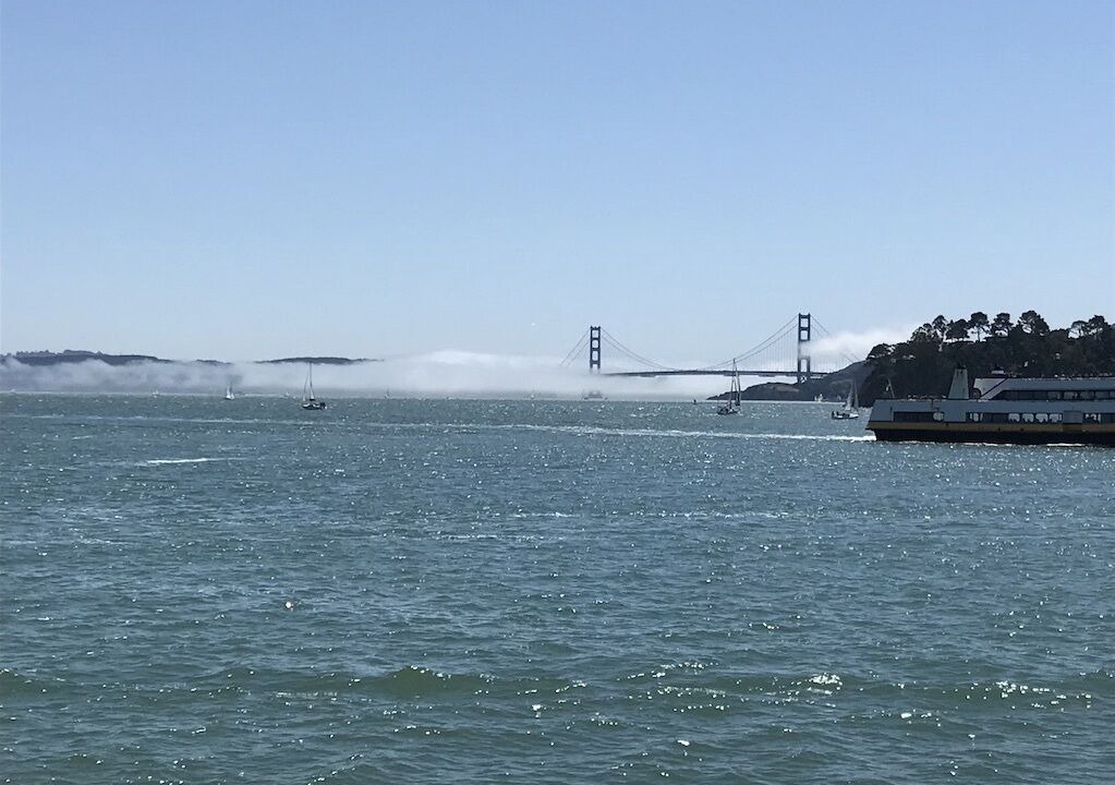 Photo of Others in Belvedere Tiburon