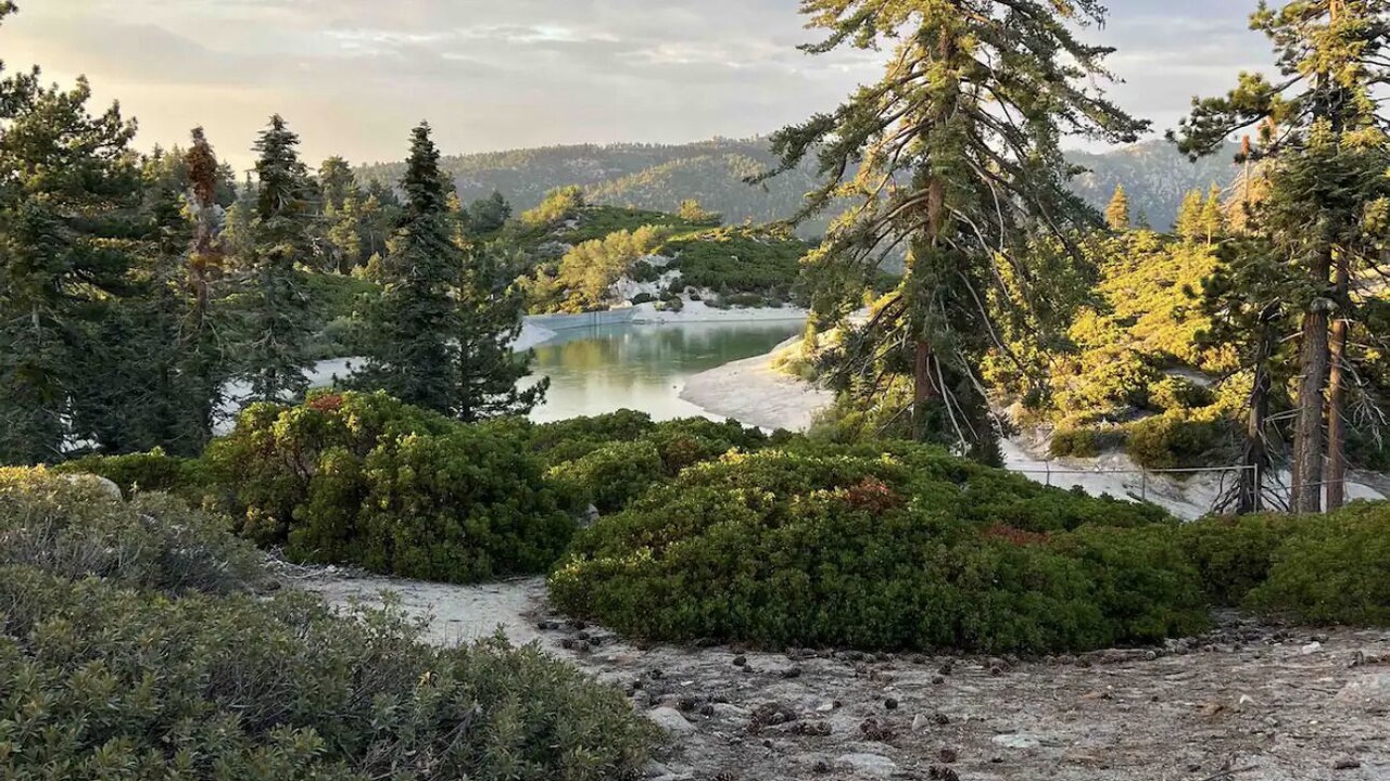 Photo of Outdoor in Running Springs