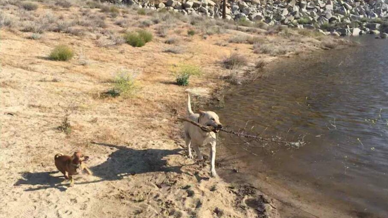 Photo of Others in Lake Isabella