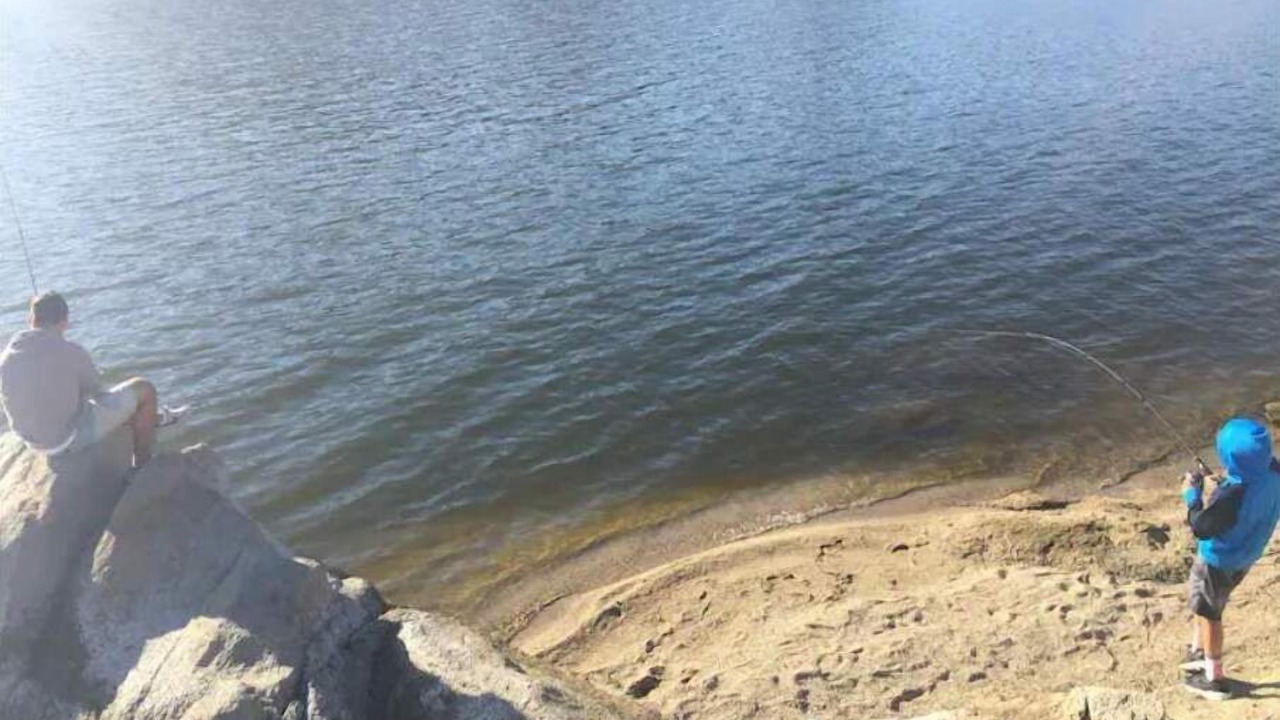 Photo of Others in Lake Isabella