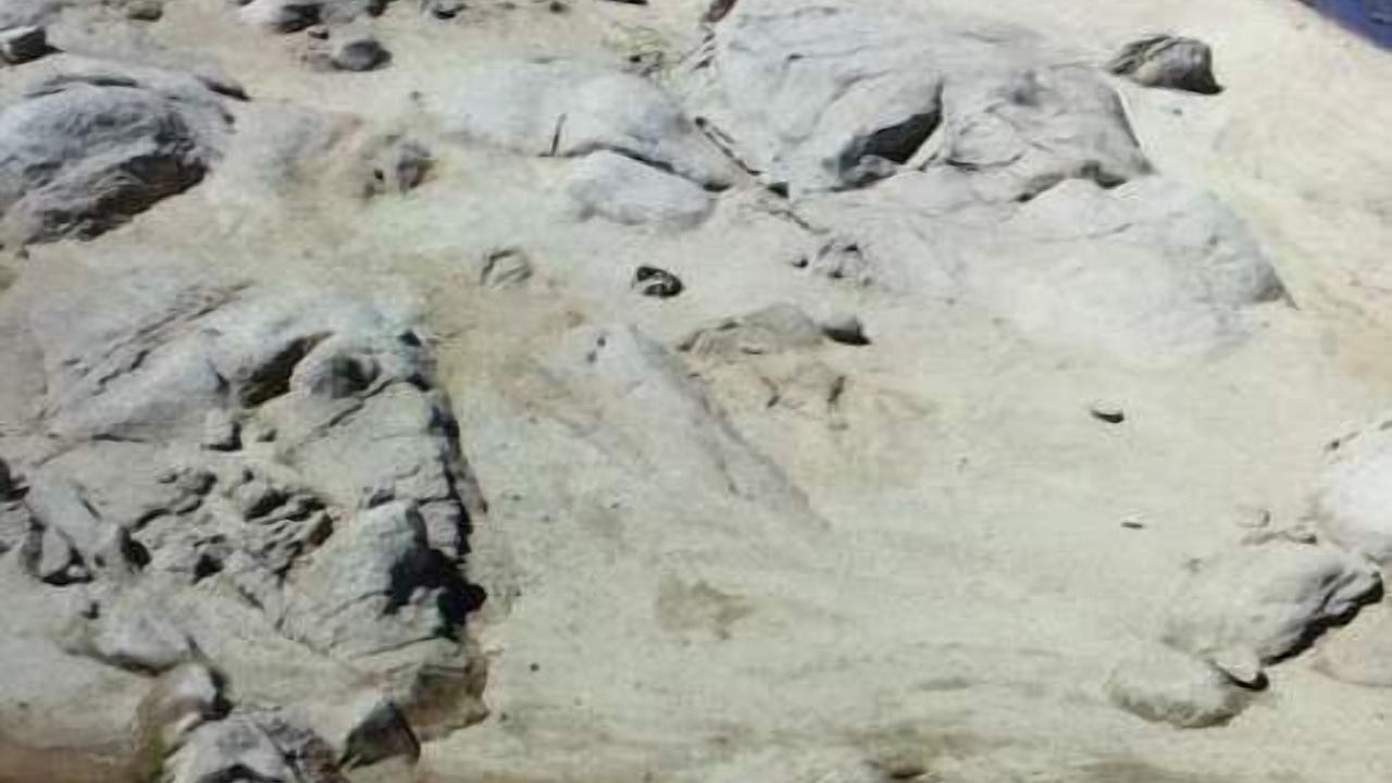 Photo of Others in Lake Isabella