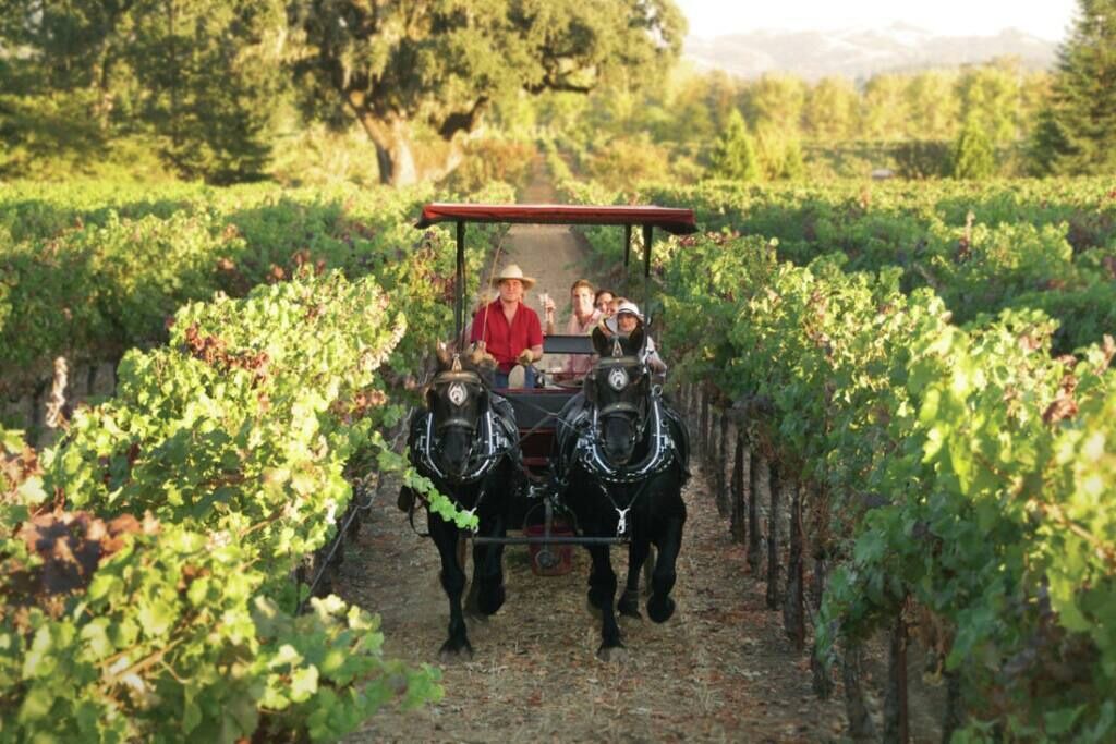 Photo of Others in Calistoga