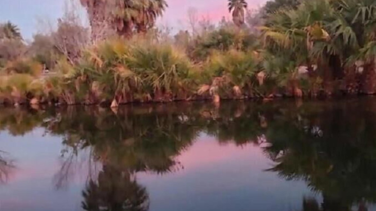 Photo of Outdoor in Newberry Springs