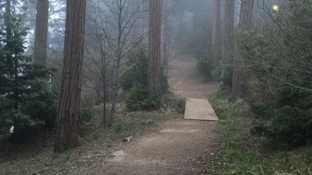 Photo of Outdoor in Lake Arrowhead
