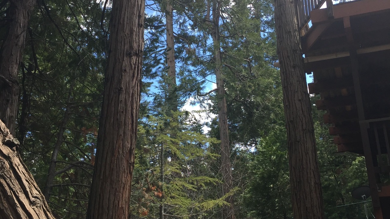 Photo of Outdoor in Lake Arrowhead