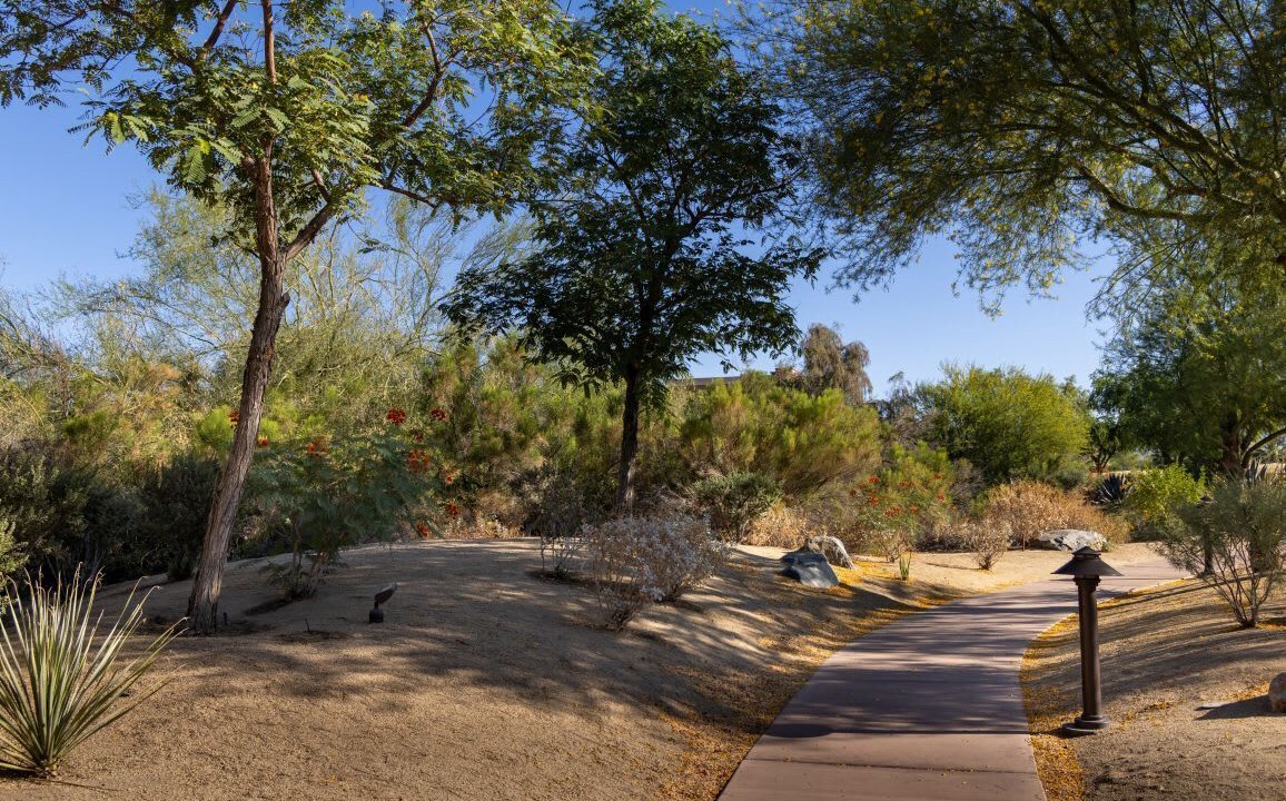 Photo of Outdoor in Palm Desert