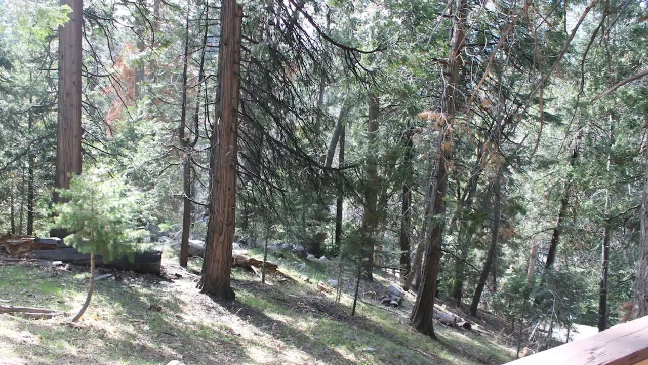 Photo of Outdoor in Cedar Glen