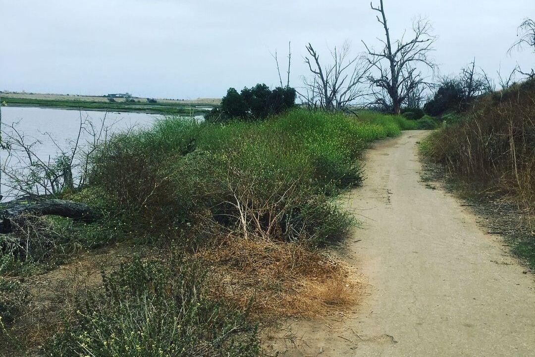 Photo of Others in Huntington Beach