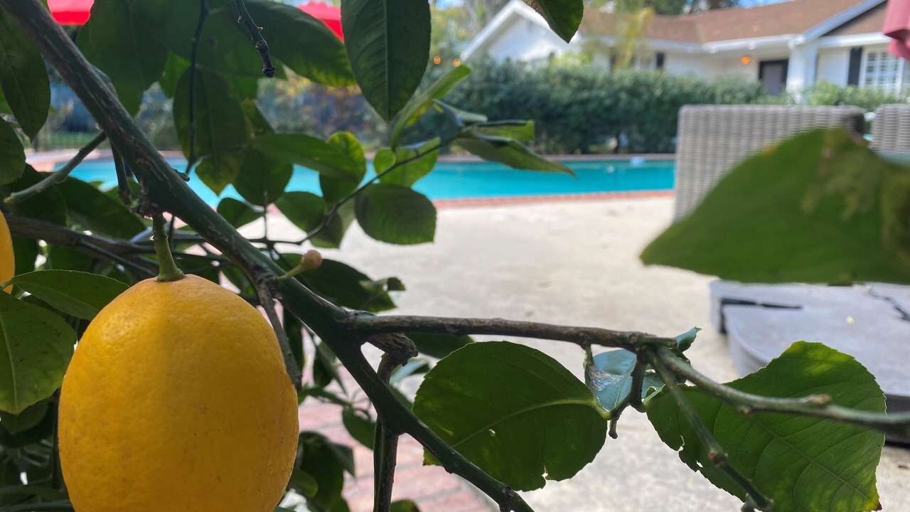 Photo of Outdoor in Woodland Hills