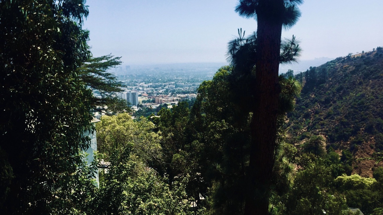 Photo of Others in Hollywood Heights
