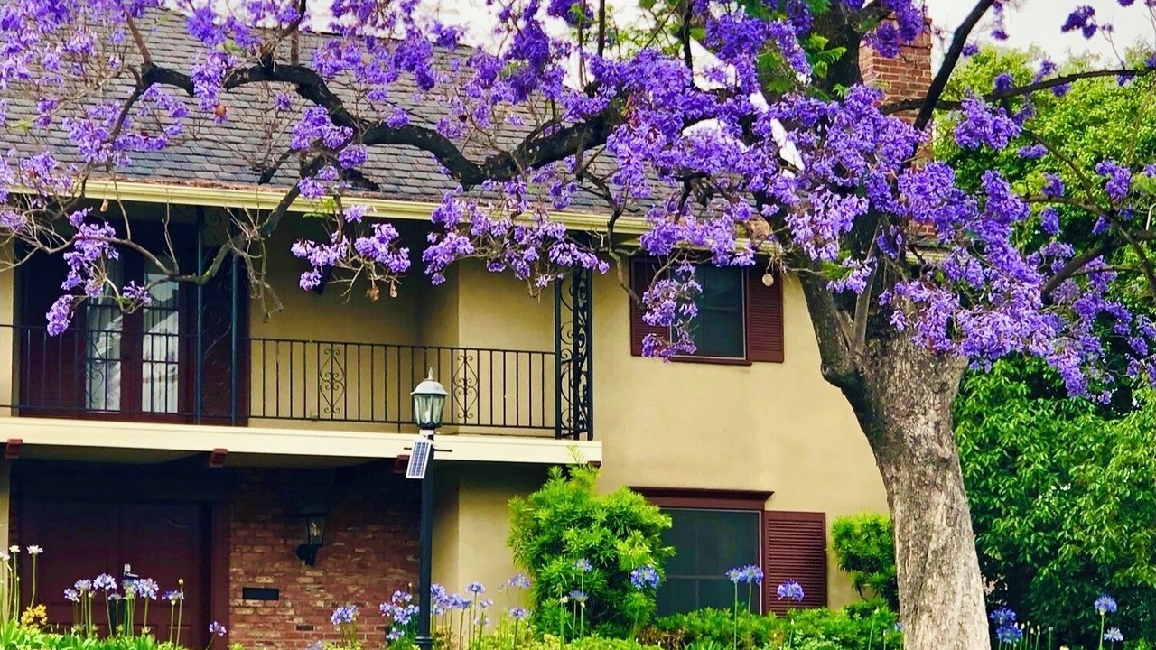 Photo of Outdoor in East Pasadena