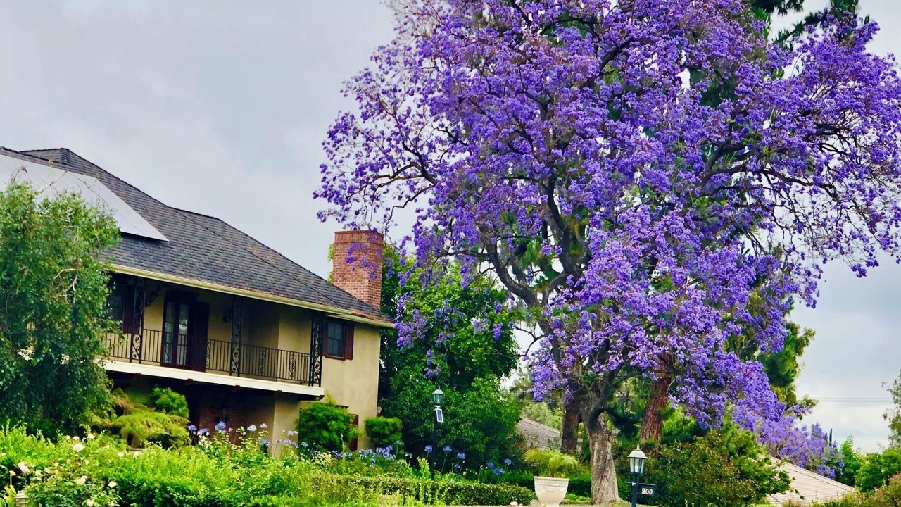 Photo of Outdoor in East Pasadena