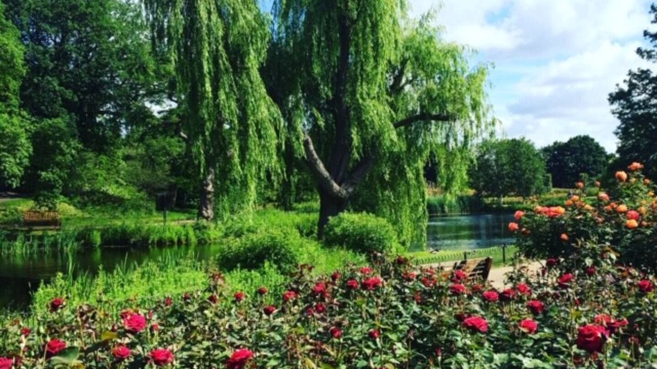 Photo of Outdoor in Camden Town with Primrose Hill