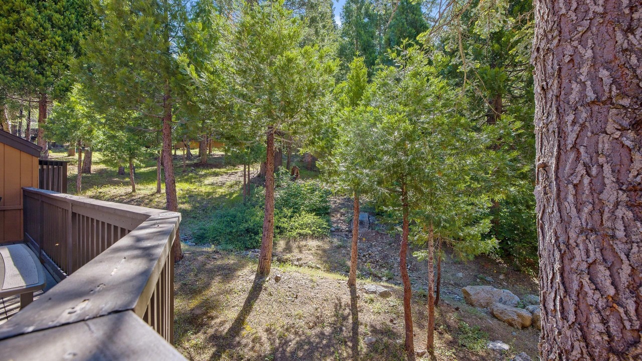 Photo of Outdoor in Shaver Lake