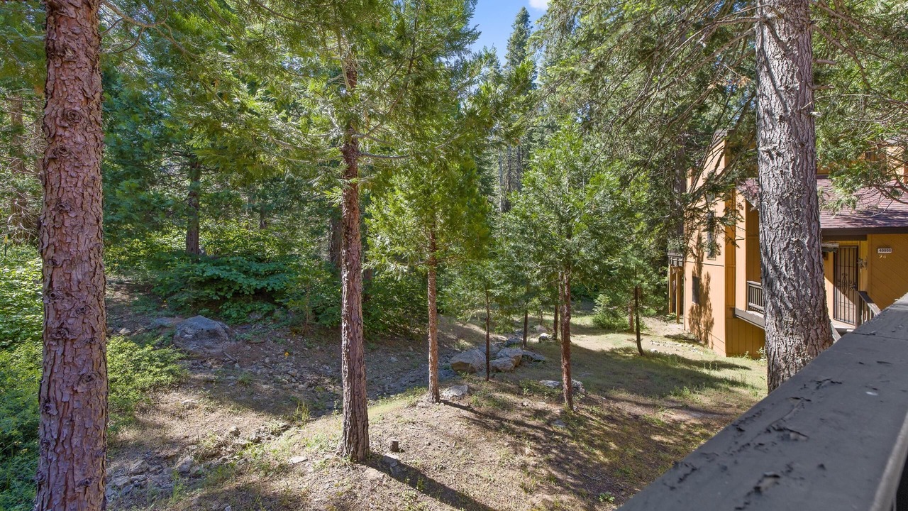 Photo of Outdoor in Shaver Lake